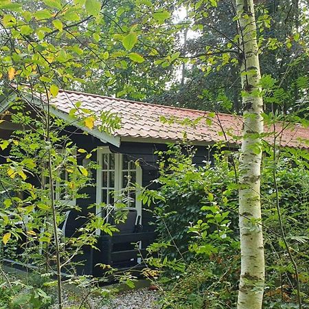 Zizania Villa Noord-Sleen Buitenkant foto