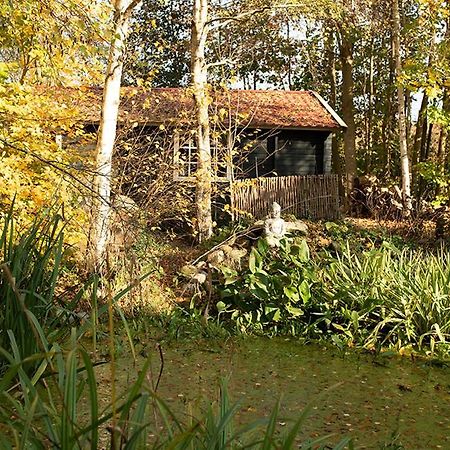 Zizania Villa Noord-Sleen Buitenkant foto