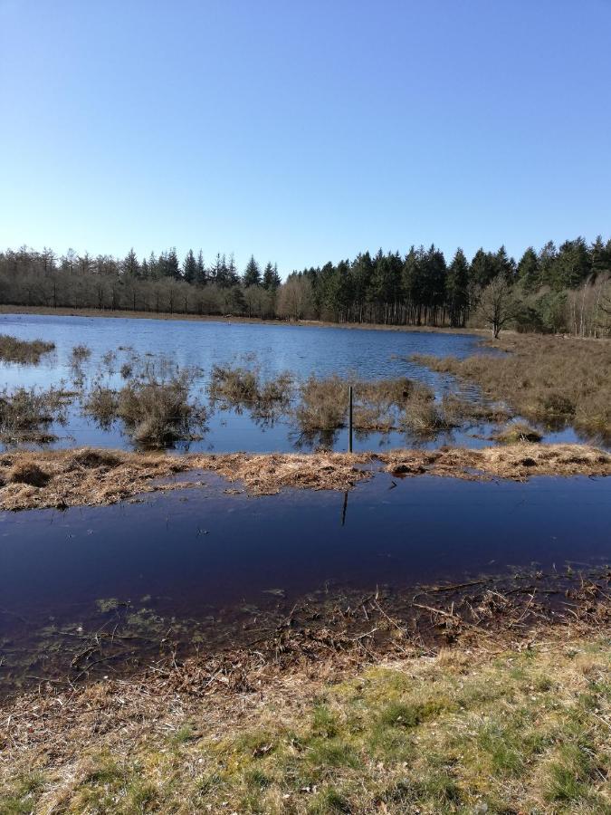 Zizania Villa Noord-Sleen Buitenkant foto